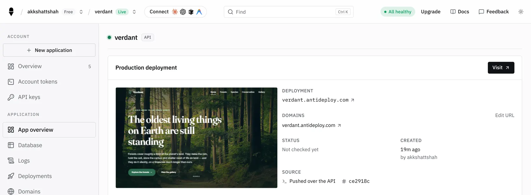 An application in the Antideploy console: a preview of the deployed site, its address, and where it came from.